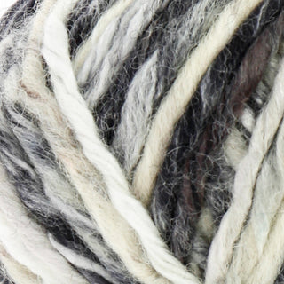 Bergere de France Arlequin Chunky 100g