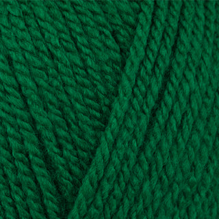 Stylecraft Special Chunky 100g