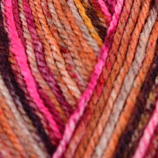 Robin Paintbox DK 100g