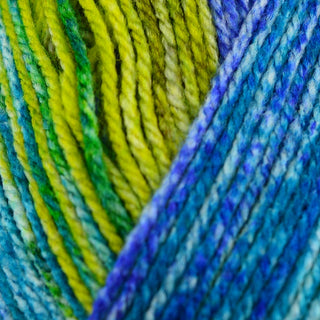 Robin Paintbox DK 100g