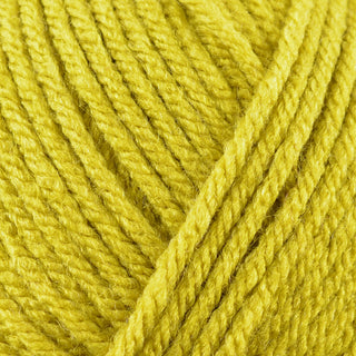 Stylecraft Special Chunky 100g
