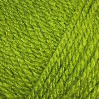 Stylecraft Special DK 100g