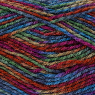 King Cole Meadow DK 100g