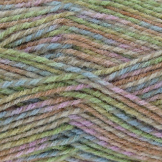 King Cole Meadow DK 100g