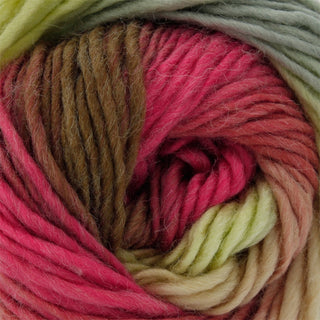 King Cole Riot Chunky 100g