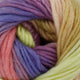 King Cole Riot Chunky 100g