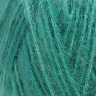 Wendy Fleur DK 100g