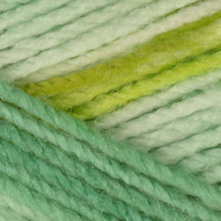 Hayfield Baby Blossom DK 100g