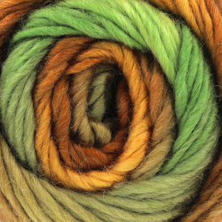 King Cole Riot Chunky 100g