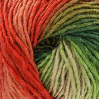 King Cole Riot Chunky 100g