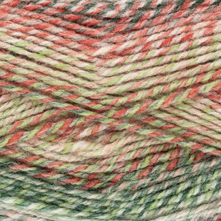 King Cole Acorn Aran 100g