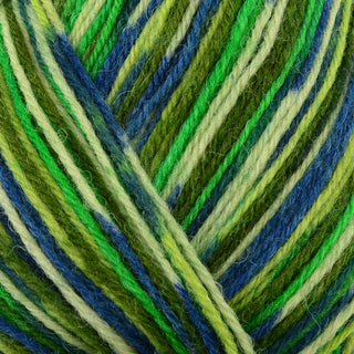 James C Brett Funny Feetz 4Ply 100g
