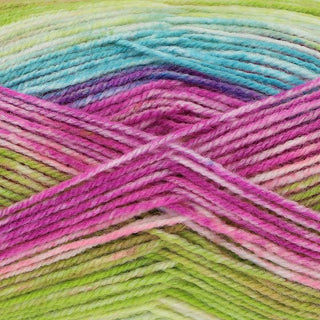 King Cole Bramble DK 100g