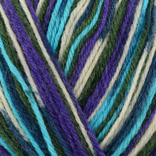 James C Brett Funny Feetz 4Ply 100g