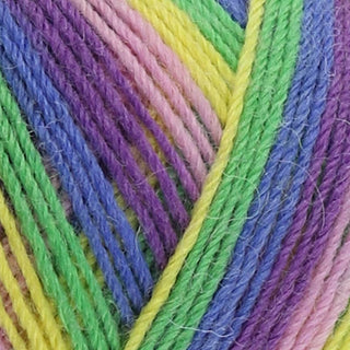 West Yorkshire Spinners Signature 4Ply 100g