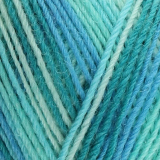 West Yorkshire Spinners Signature 4Ply 100g