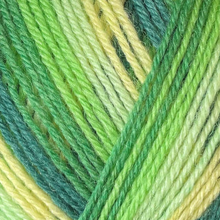 West Yorkshire Spinners Signature 4Ply 100g