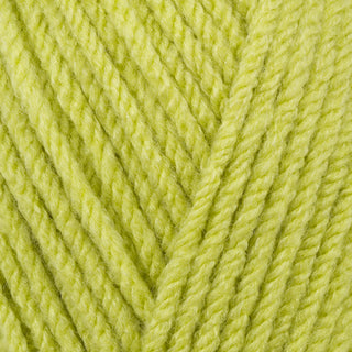 Stylecraft Special Chunky 100g