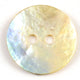 Mother of Pearl Buttons