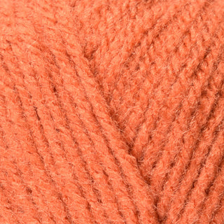 Bergere de France Barisienne DK 50g