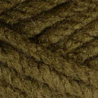 Bergere de France Barisienne 12 Super Chunky 150g