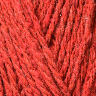 Bergere de France Ecoton DK 50g