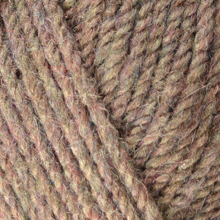 Bergere de France Fileco Aran 50g