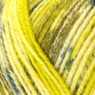 Bergere de France Goomy Lace/2Ply 50g
