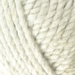 Bergere de France Recyclaine Super Chunky 100g