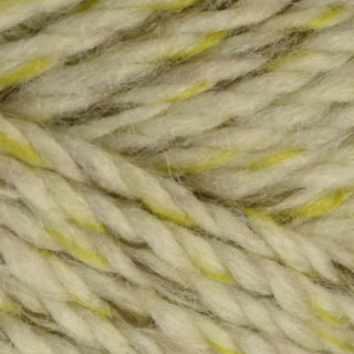 Bergere de France Twiste Aran 50g