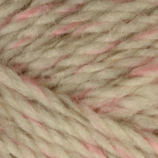 Bergere de France Twiste Aran 50g