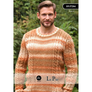 DYP204 Man's Jumper La Paz