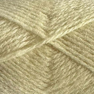 Garthenor 100% Organic Lleyn DK 50g