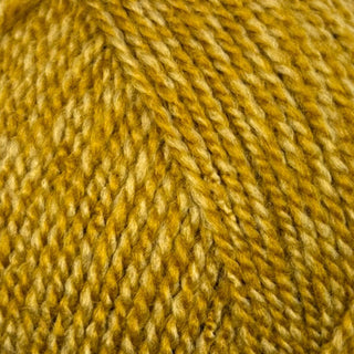 Stylecraft Special DK 100g