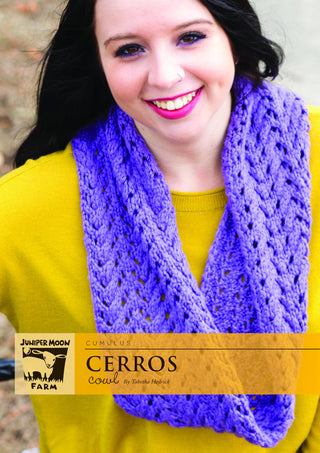 J31-06 Cerros Cowl for Women in Cumulus
