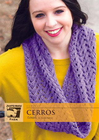 J31-06 Cerros Cowl for Women in Cumulus