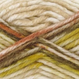 King Cole Big Value Super Chunky Tints 100g