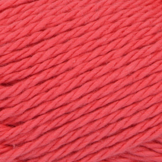 King Cole Itsy Bitsy Cotton DK 25g