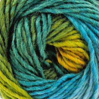 King Cole Riot Chunky 100g