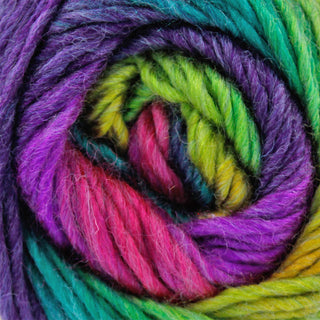 King Cole Riot Chunky 100g