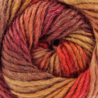 King Cole Riot Chunky 100g