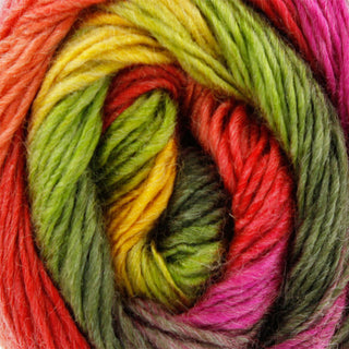 King Cole Riot DK 100g