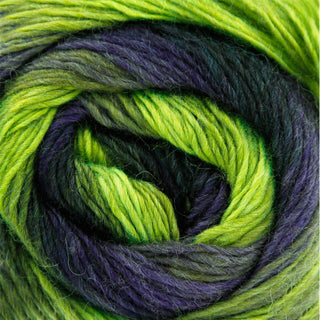 King Cole Riot DK 100g