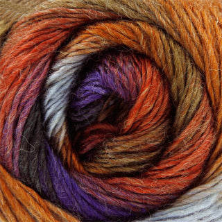 King Cole Riot DK 100g