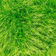 King Cole Tinsel Chunky 50g