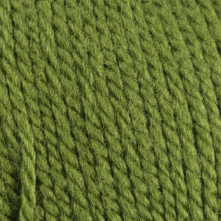 Mondial Bio Lana Aran 50g