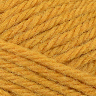 Patons Diploma Gold DK 50g