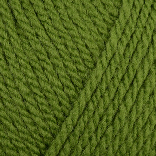 Sirdar Supersoft Aran 100g