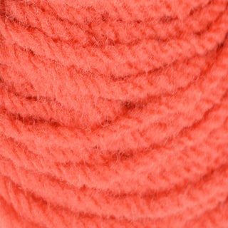 Ewe & Ply Shropshire Ply DK 100g