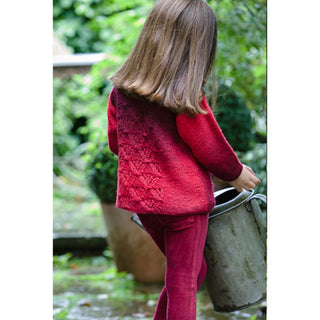 St9253 Children's Cardigan and Jumper Ombre Aran